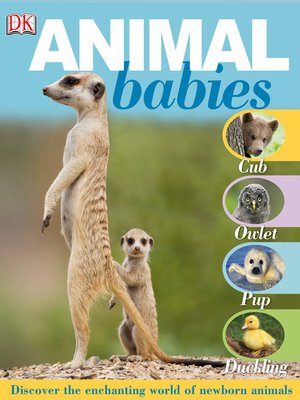 cover image of Animal babies